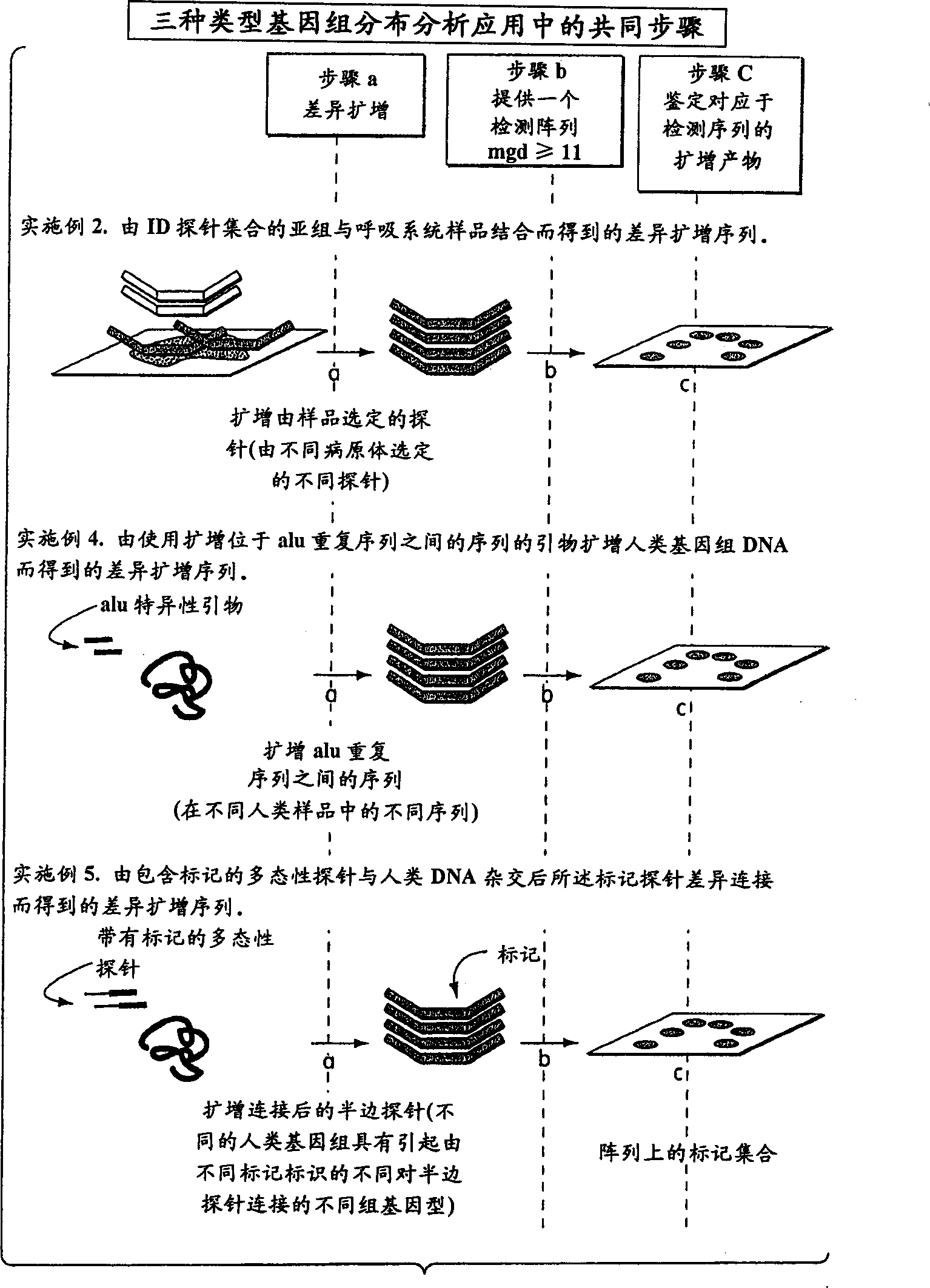 CN1370242A - 基因组分布分析:一种检测复杂生物样品中多种类型生物的存在的快速方法- Google Patents