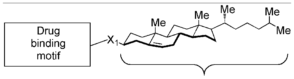 Figure imgf000024_0003