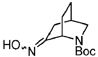 Figure imgb0100