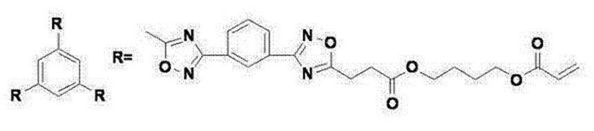 Figure JPOXMLDOC01-appb-C000019