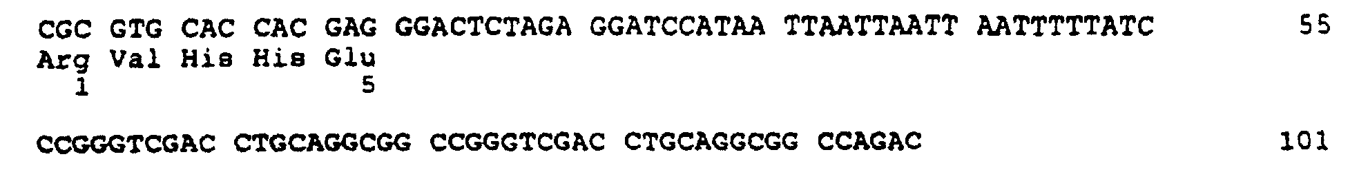 Figure 00590001