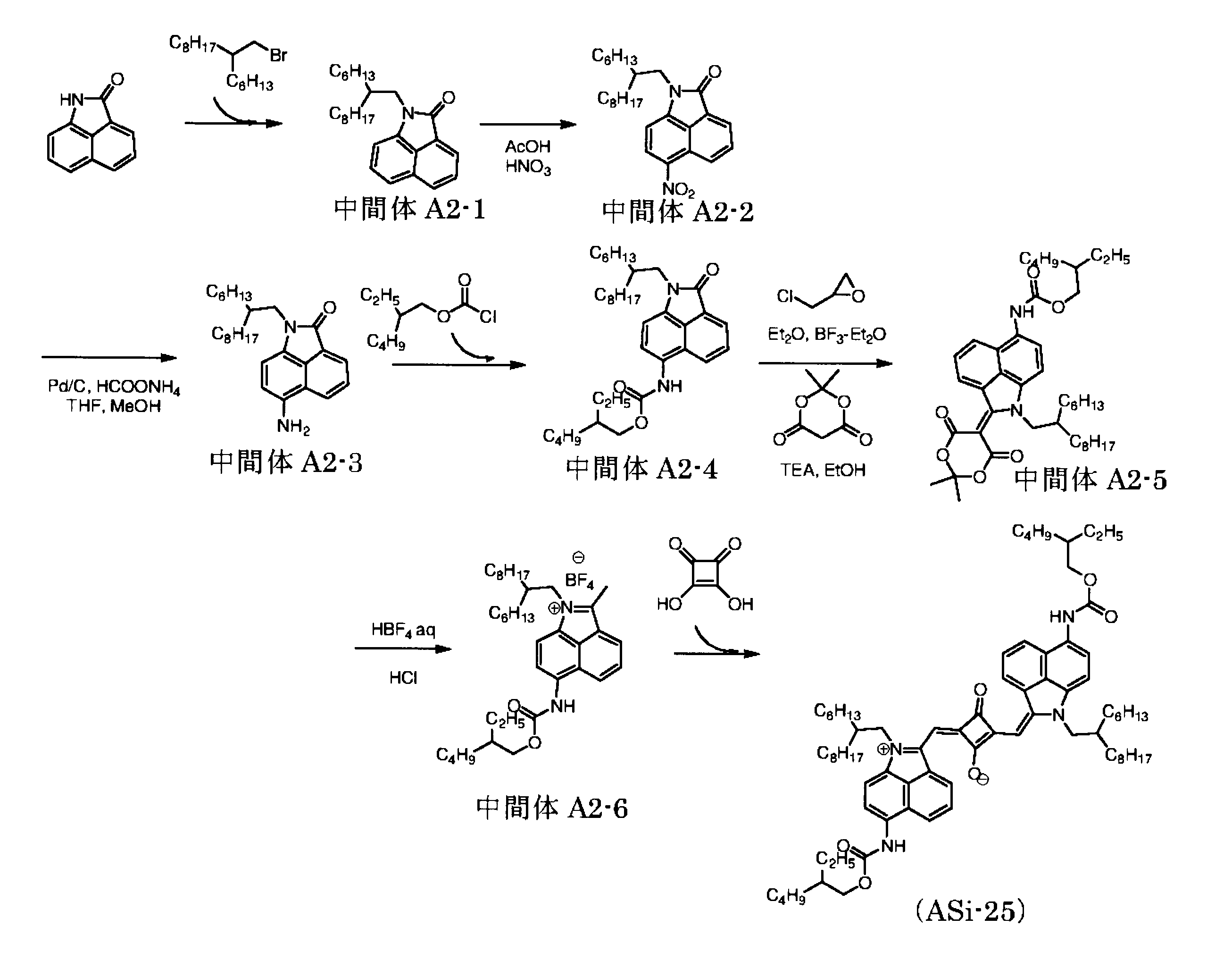 Figure JPOXMLDOC01-appb-C000040