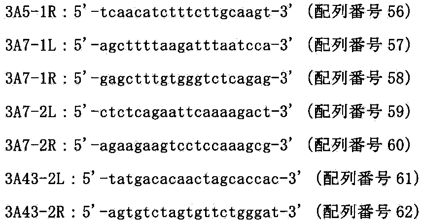 Figure JPOXMLDOC01-appb-I000093