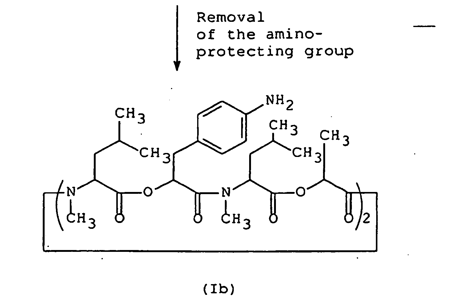 Figure imgb0010