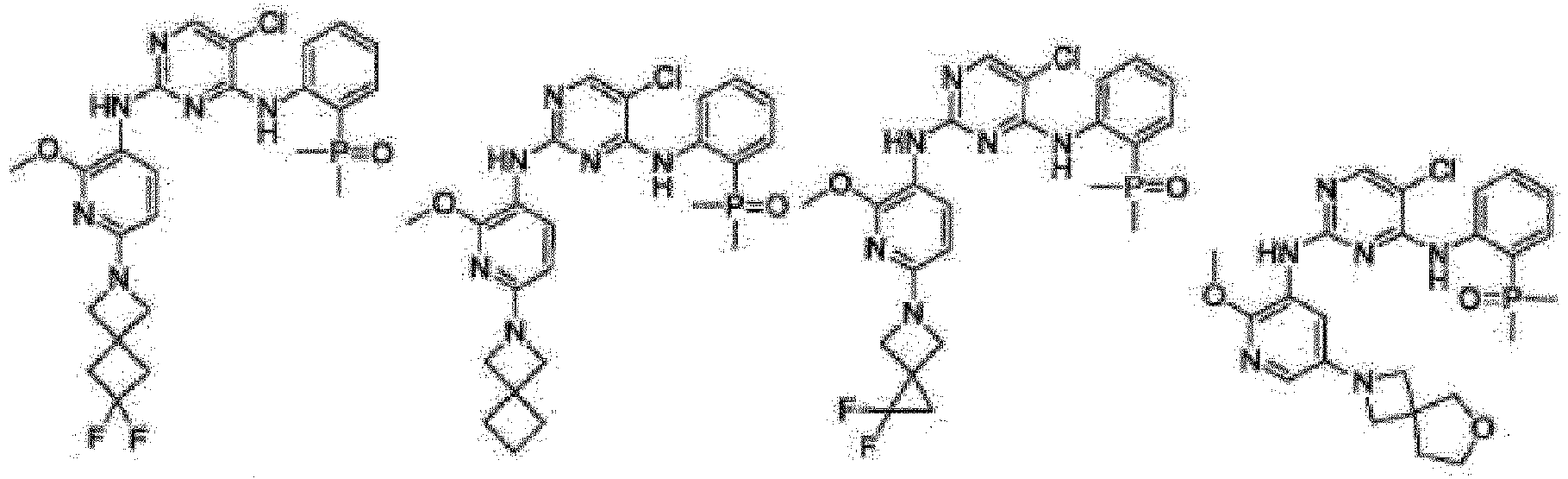 Figure imgb0081