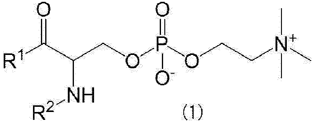 Figure imgb0002