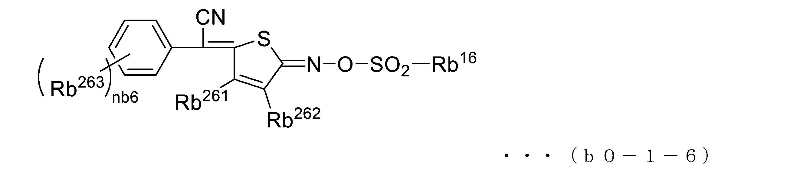Figure JPOXMLDOC01-appb-C000024