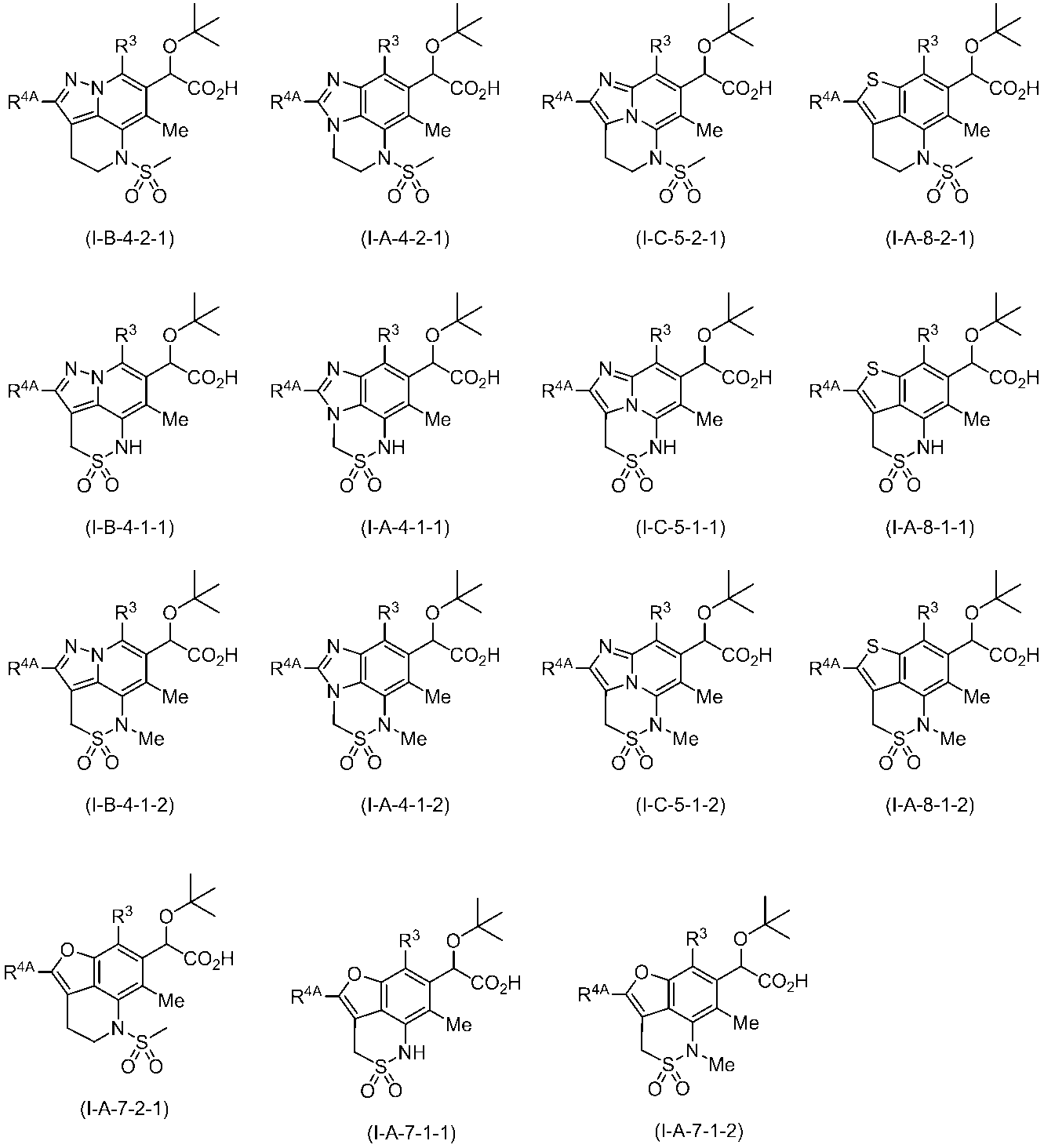 Figure JPOXMLDOC01-appb-C000173