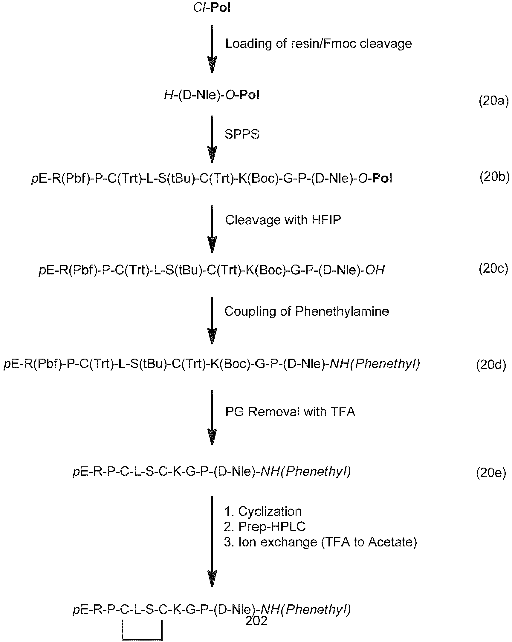 Figure imgb0145