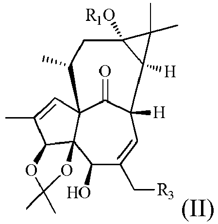 Figure imgb0206