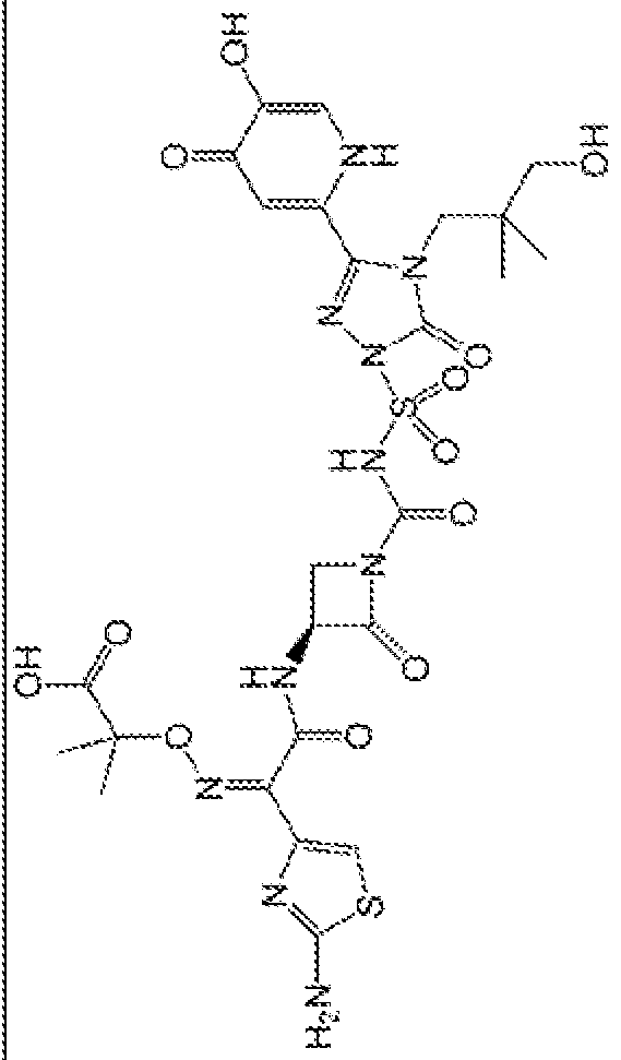 Figure imgf000081_0004