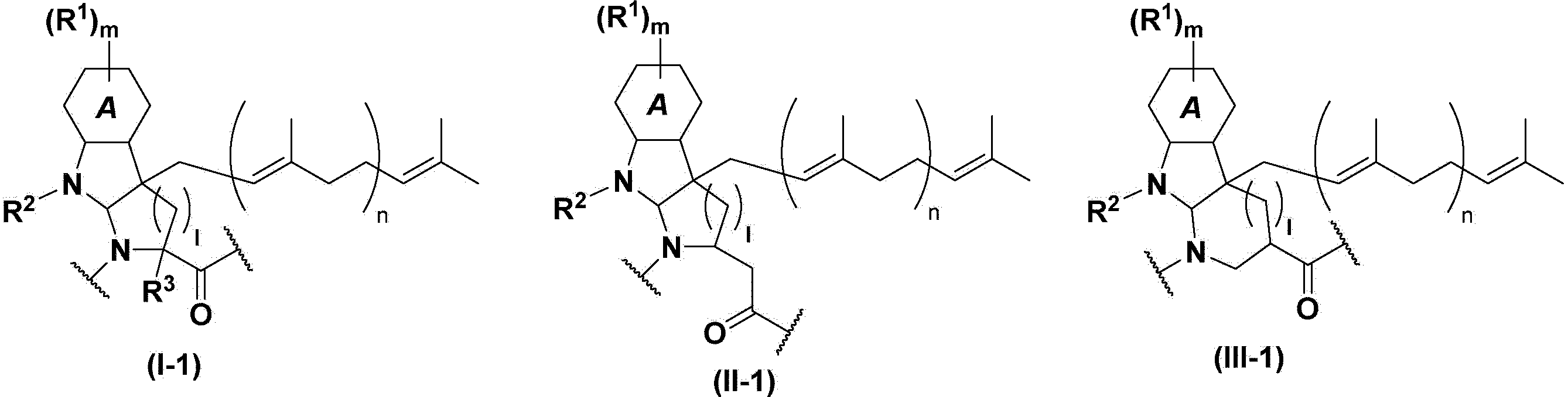 Figure JPOXMLDOC01-appb-C000009