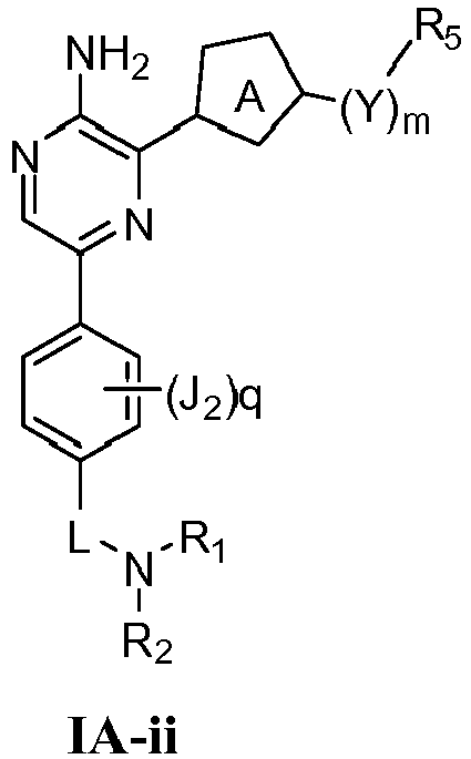 Figure imgb1009