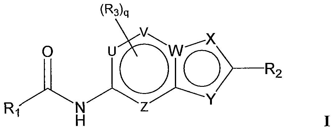 Figure imgf000010_0001