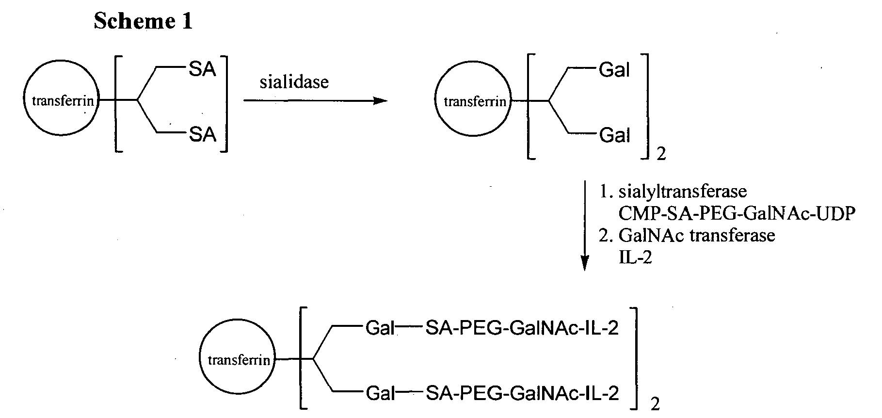 Figure imgb0023