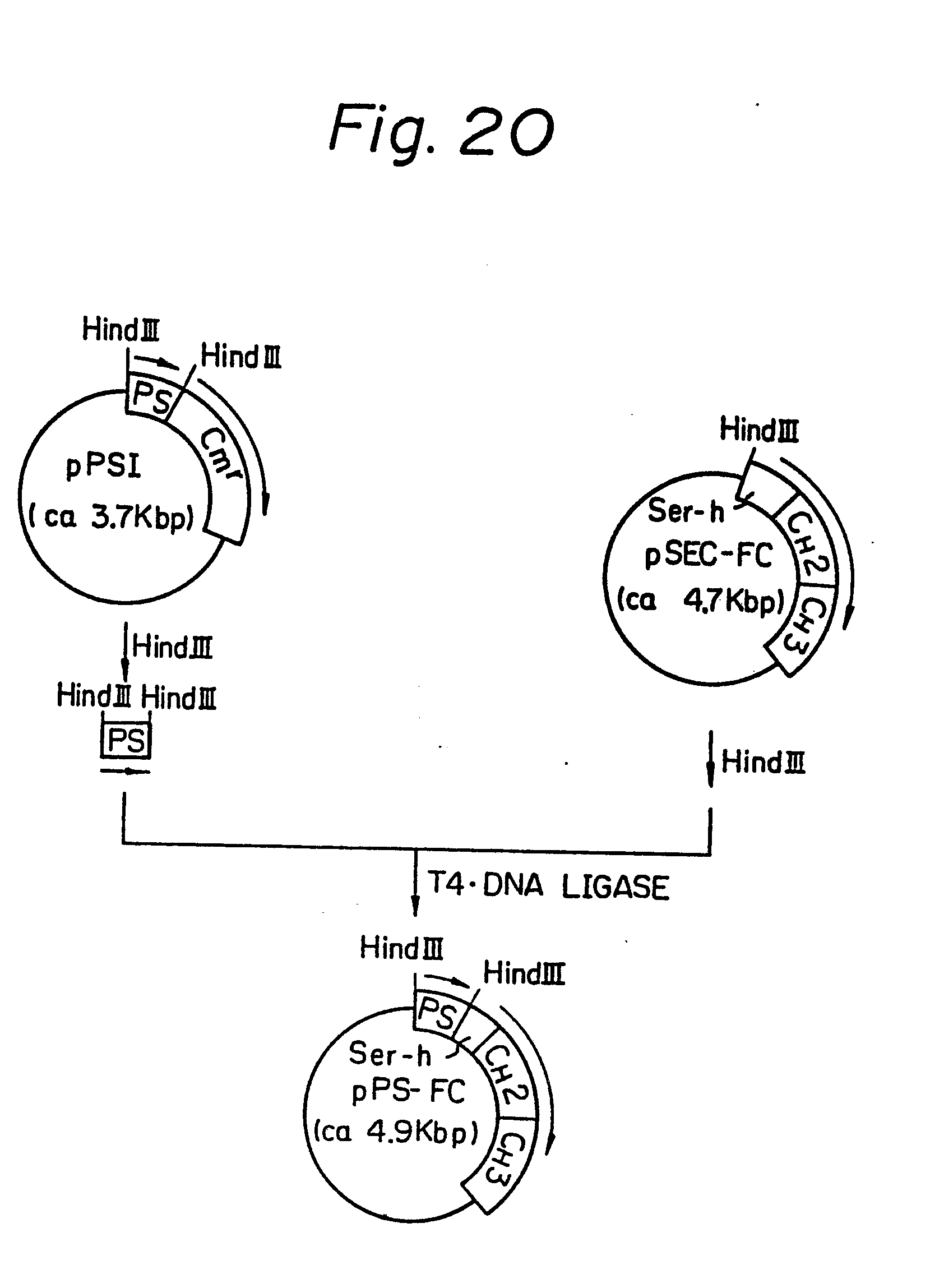 google patents