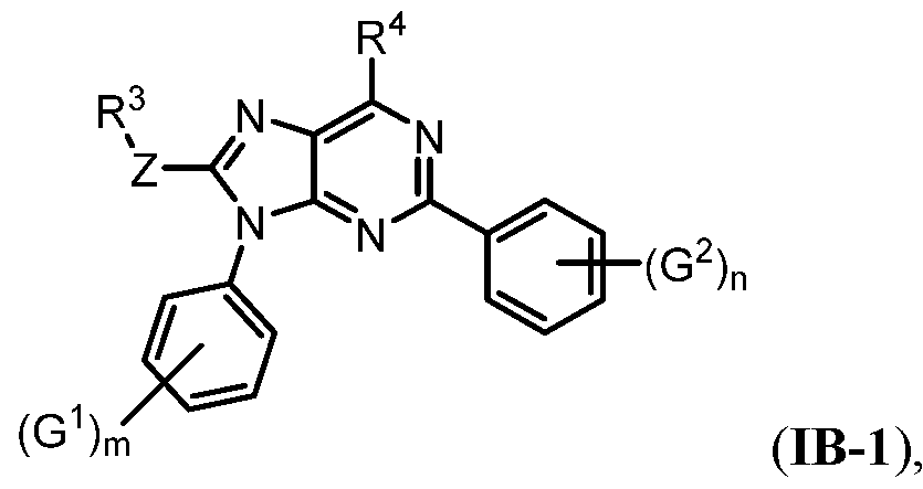 Figure imgf000011_0002