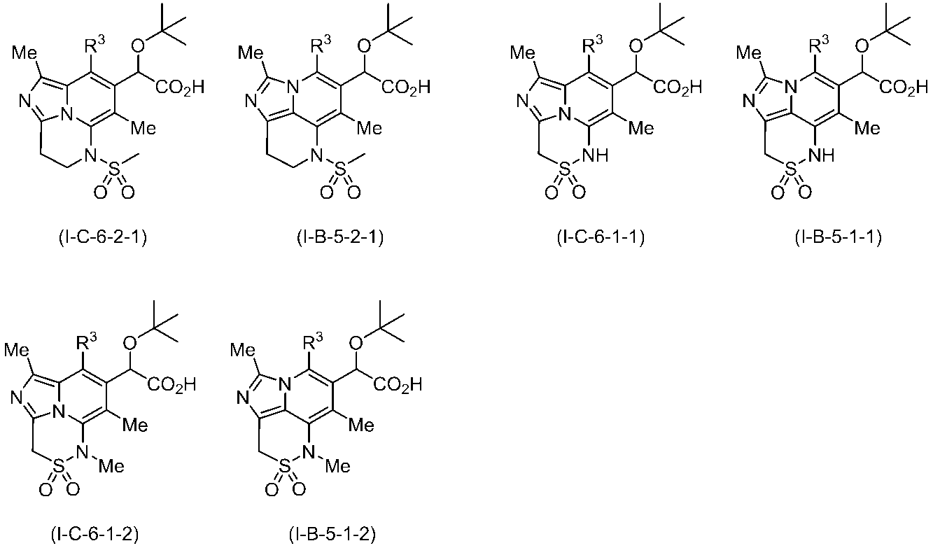 Figure JPOXMLDOC01-appb-C000176