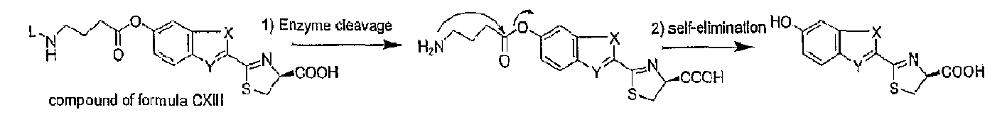 Figure imgb0075
