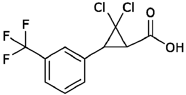 Figure imgb0497