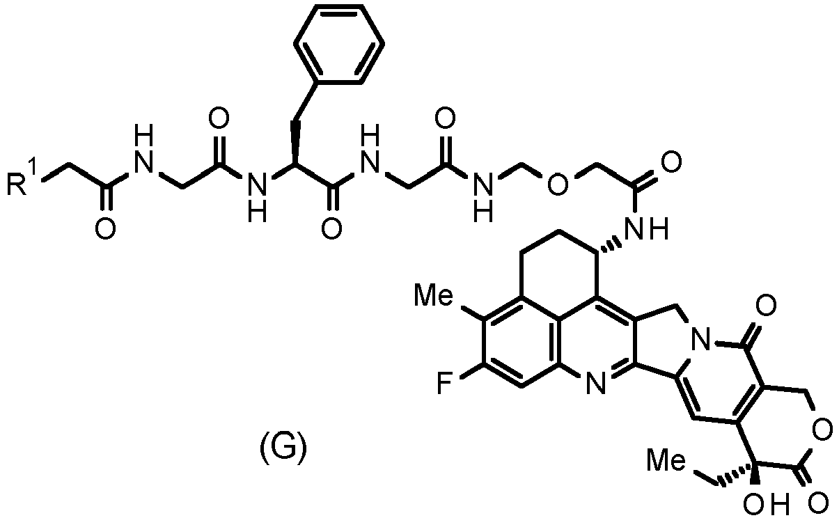 Figure imgb0024