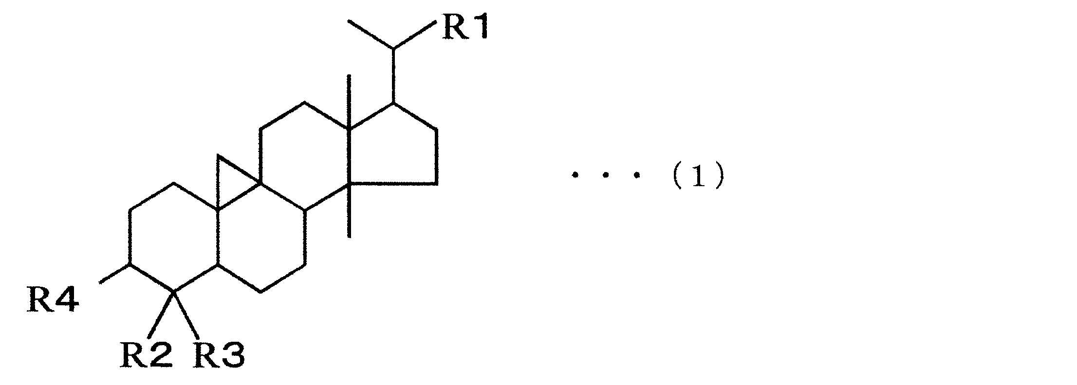 Figure JPOXMLDOC01-appb-C000001