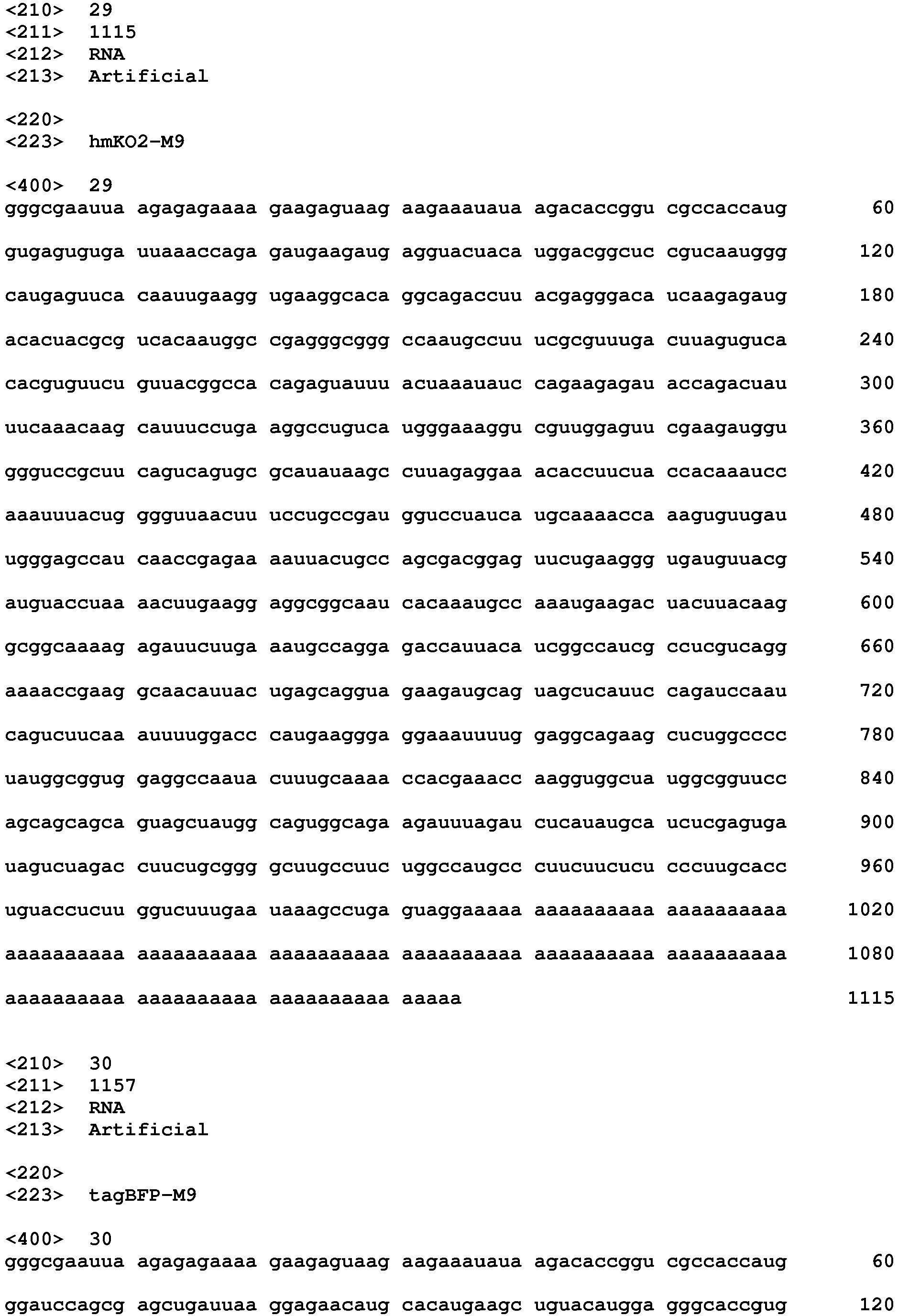 Figure imgb0033