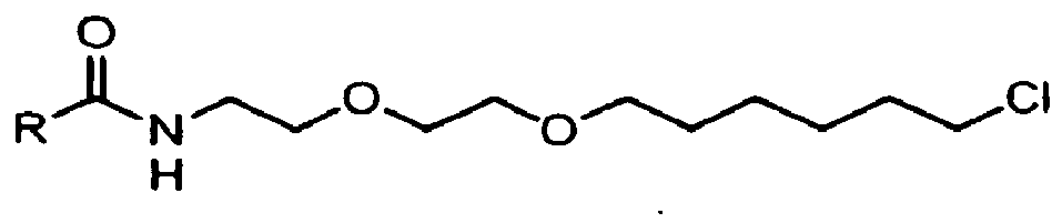 Figure imgb0059