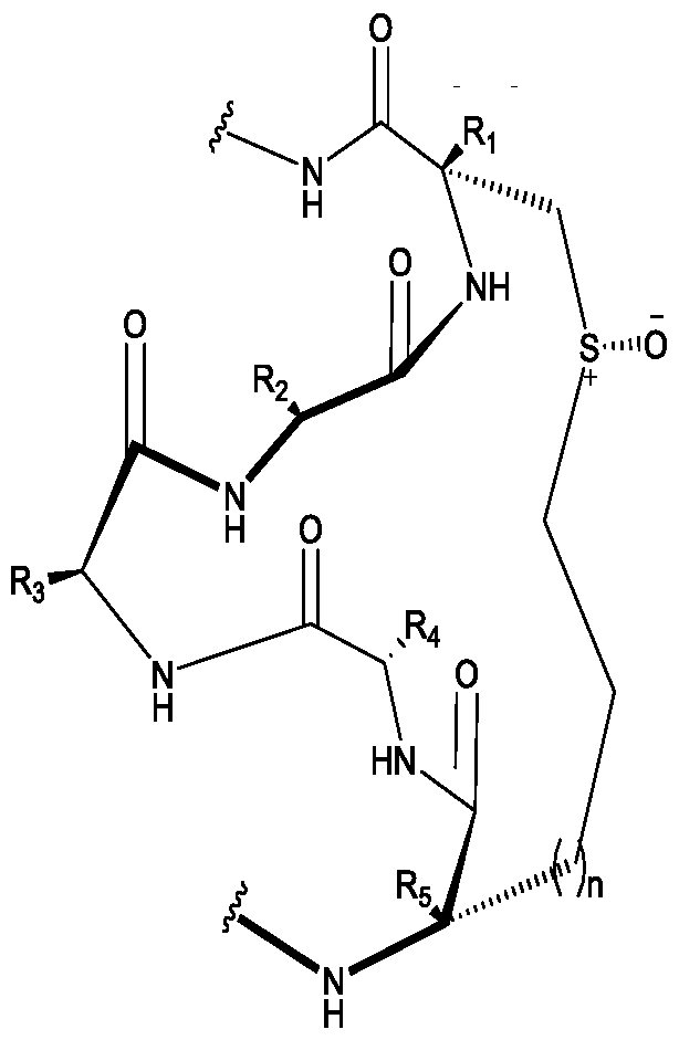 Figure imgf000015_0001