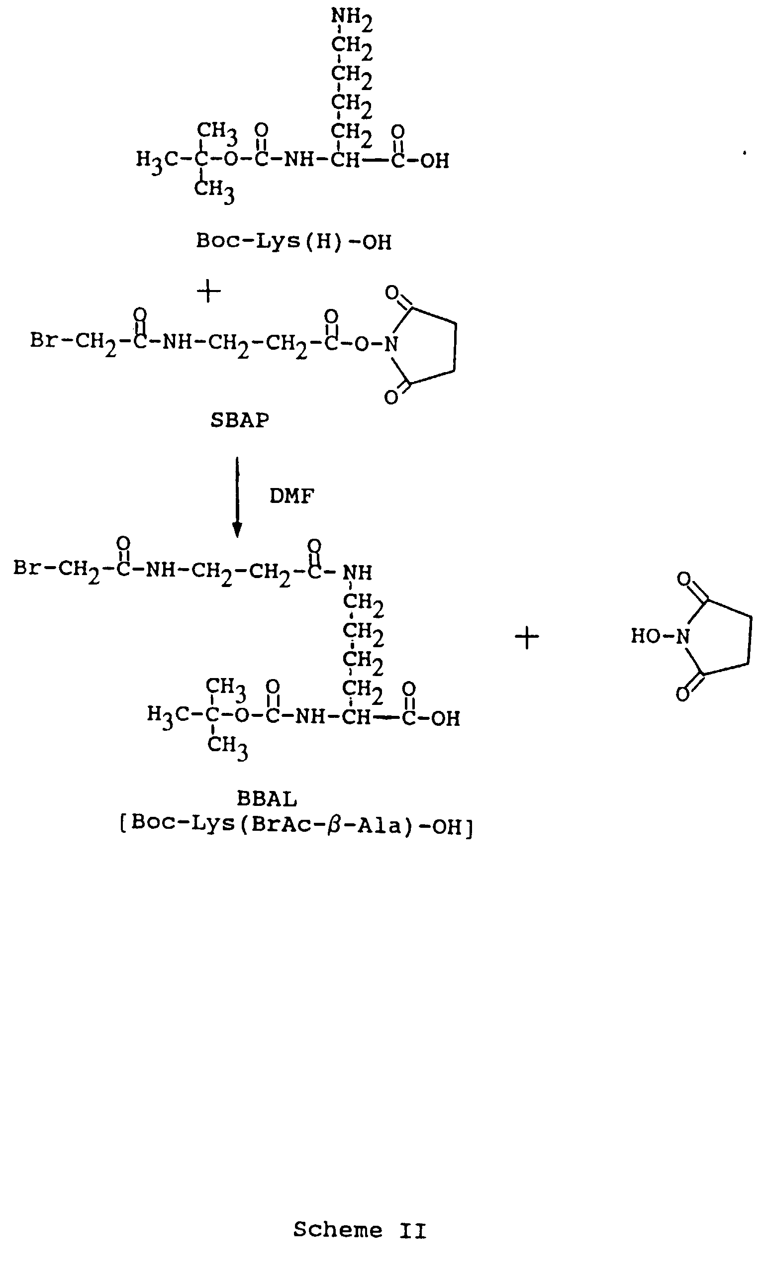 EP0590038B1 Amino acid derivative and bromoacetyl modified peptides