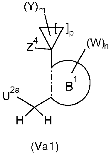 Figure imgb0033