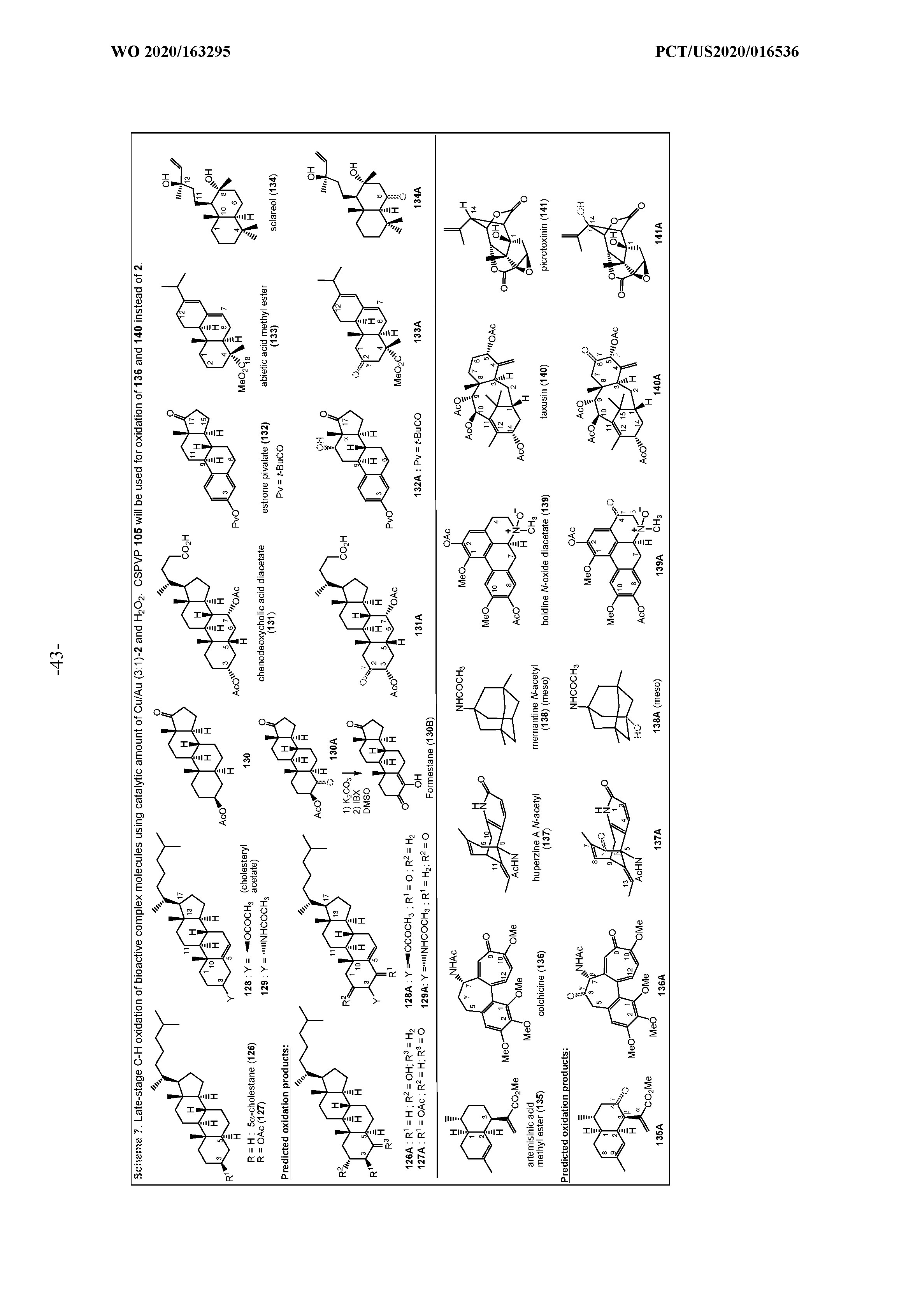 Figure imgf000045_0001