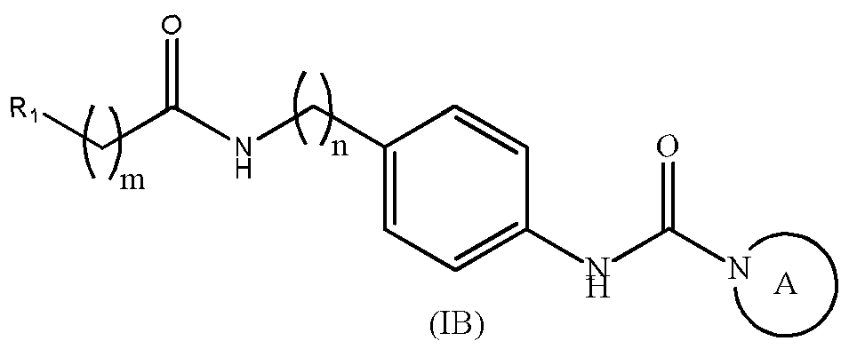 Figure imgf000009_0002