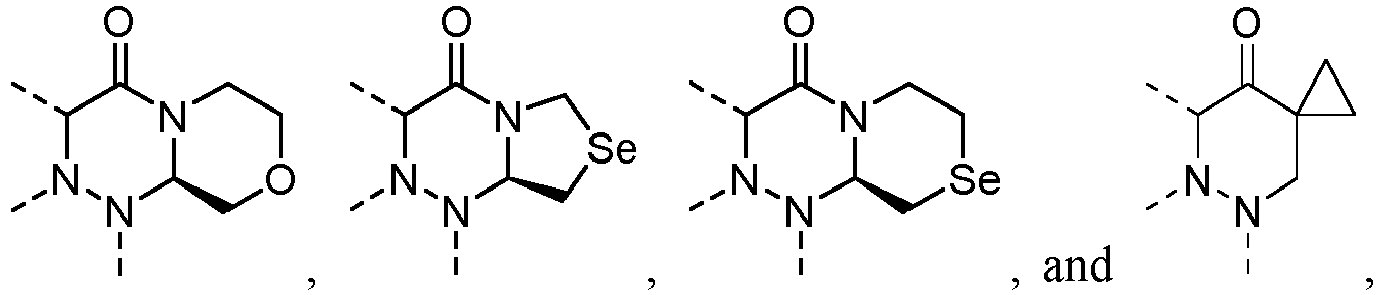 Figure imgb0024