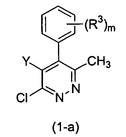 Figure imgb0013