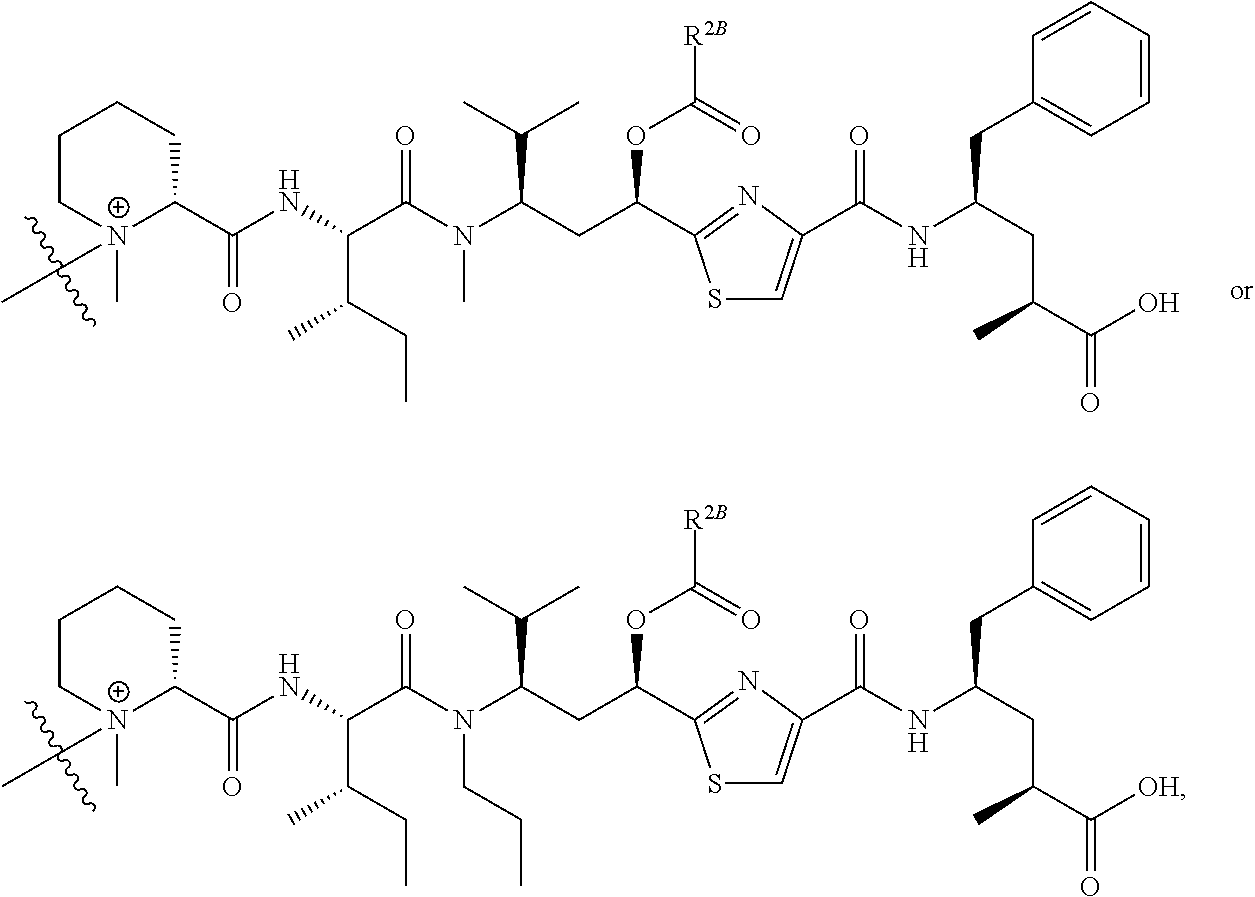 Figure US11229708-20220125-C00178