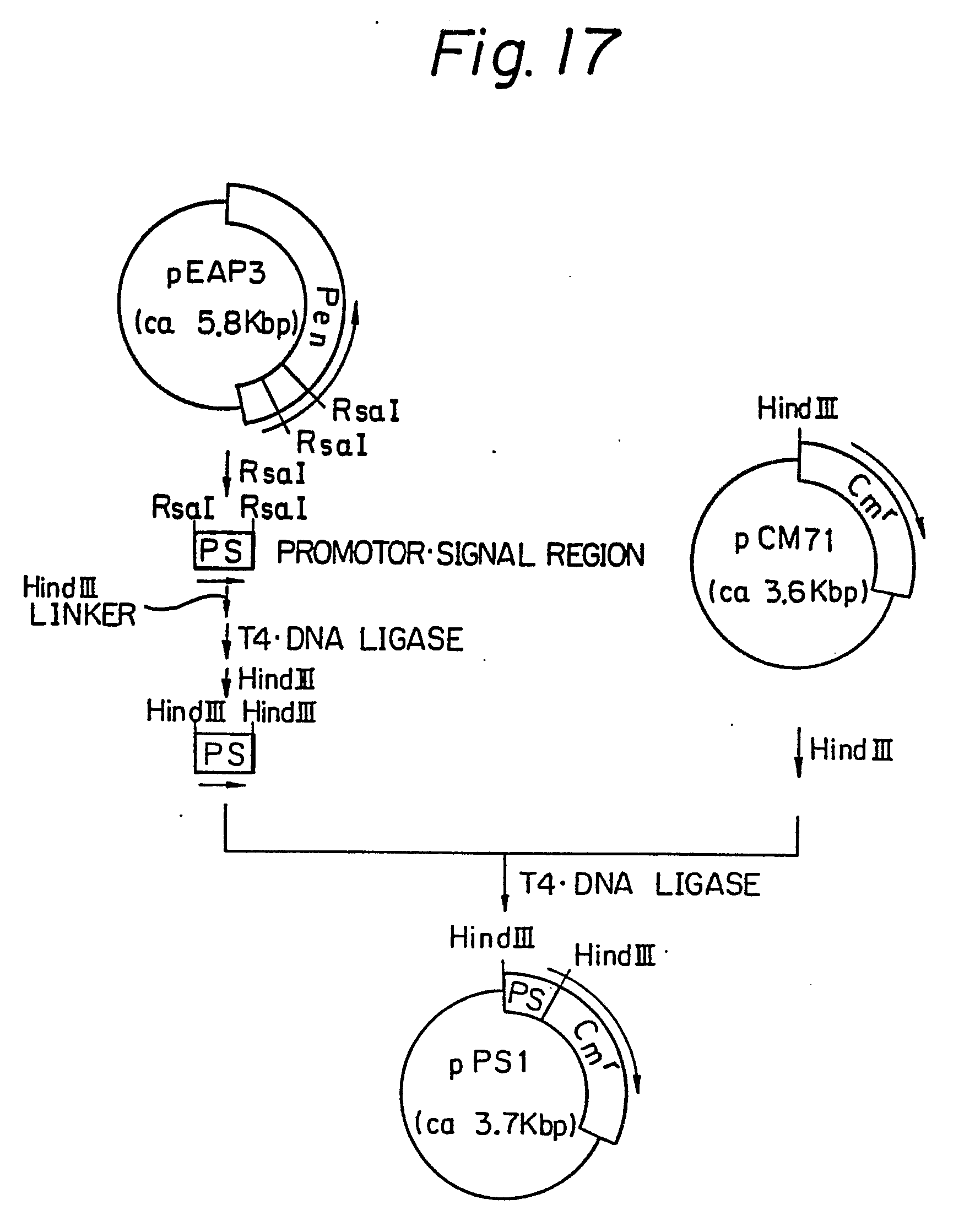 google patents