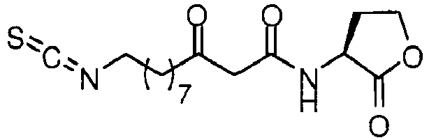 Figure imgb0042