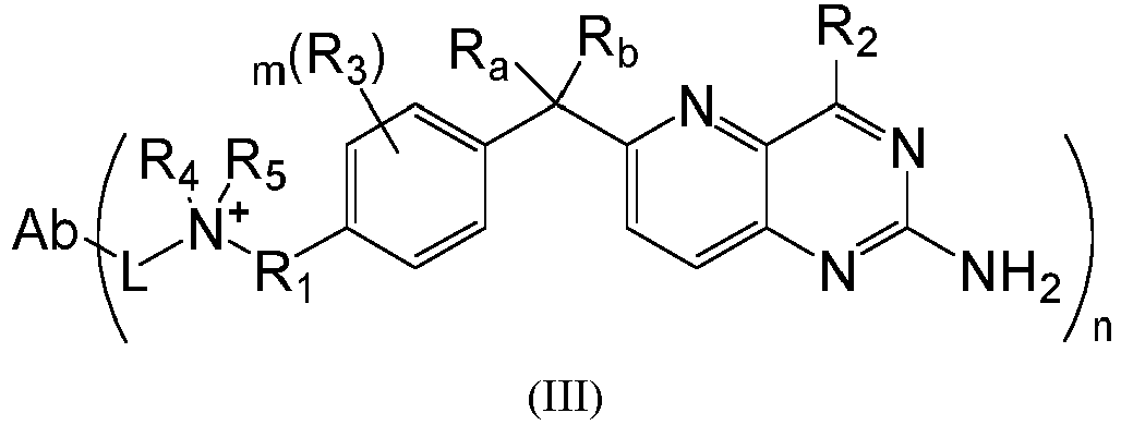 Figure imgb0046