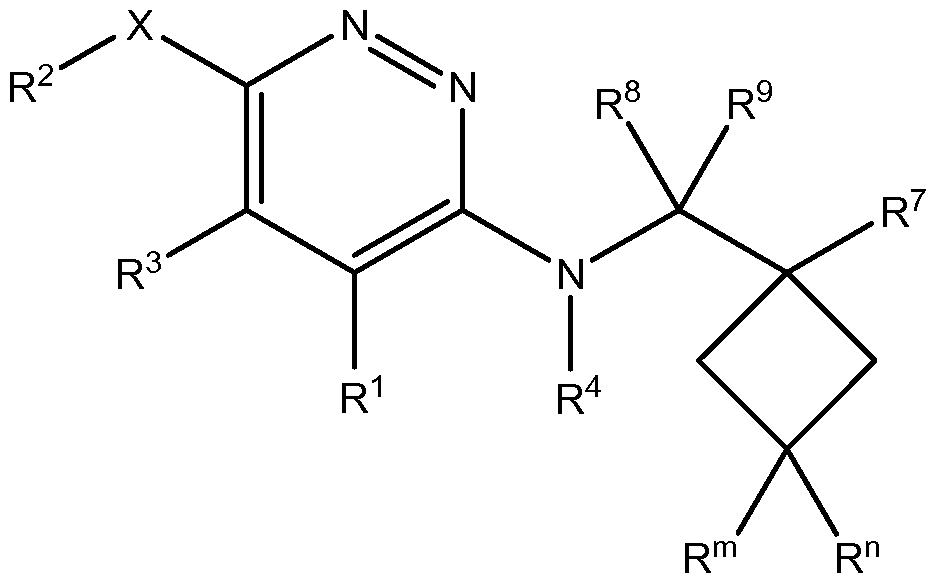 Figure imgf000298_0002