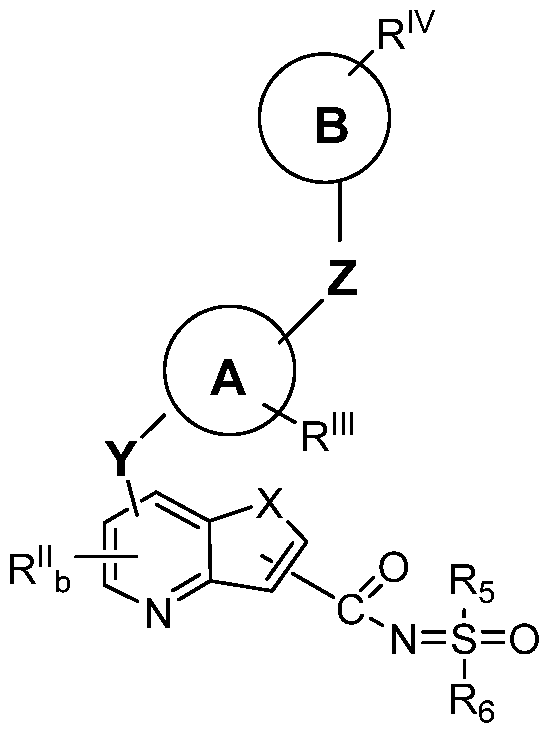 Figure imgf000011_0002