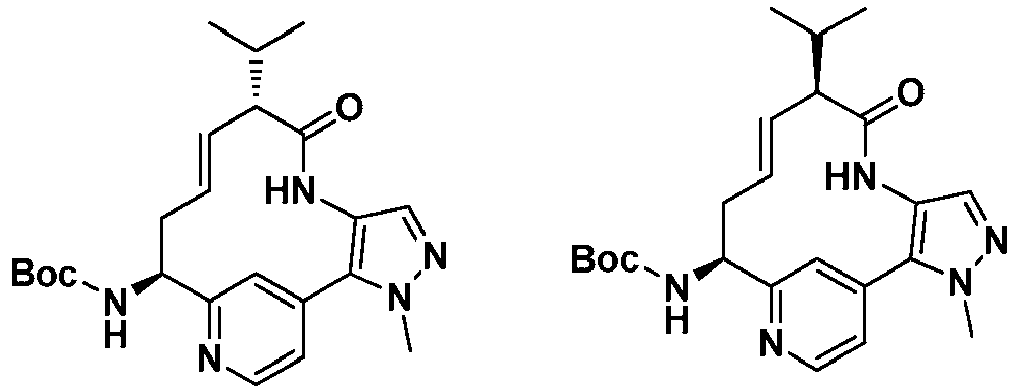 Figure imgb0229