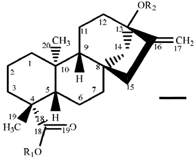 Figure imgb0001