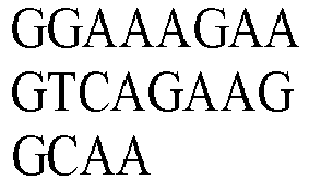 Figure imgb0217