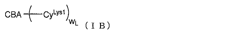 Figure 0007203834000041