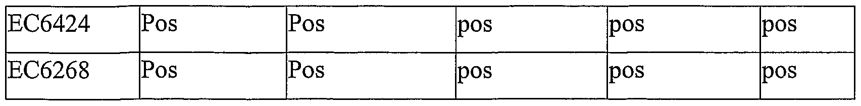 Figure imgf000031_0001