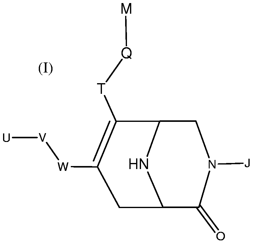 Figure imgf000004_0001