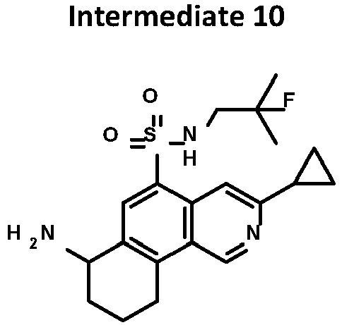 Figure imgb0010