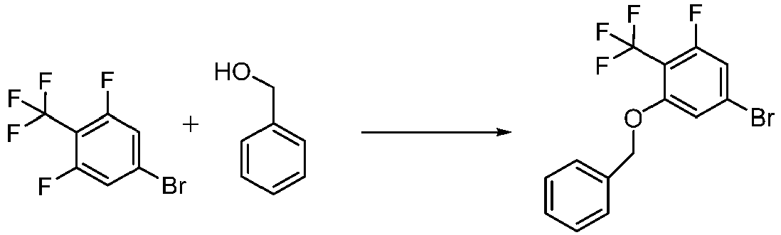 Figure imgb0501