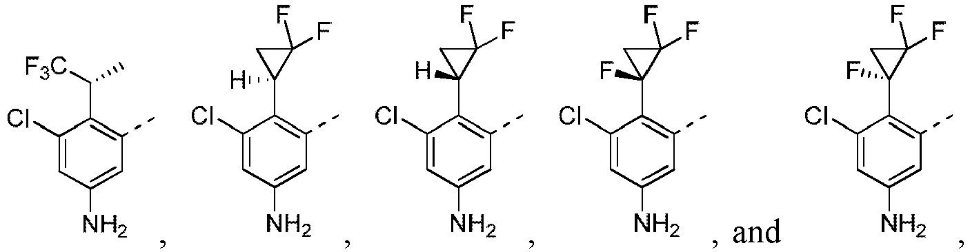 Figure imgb0048